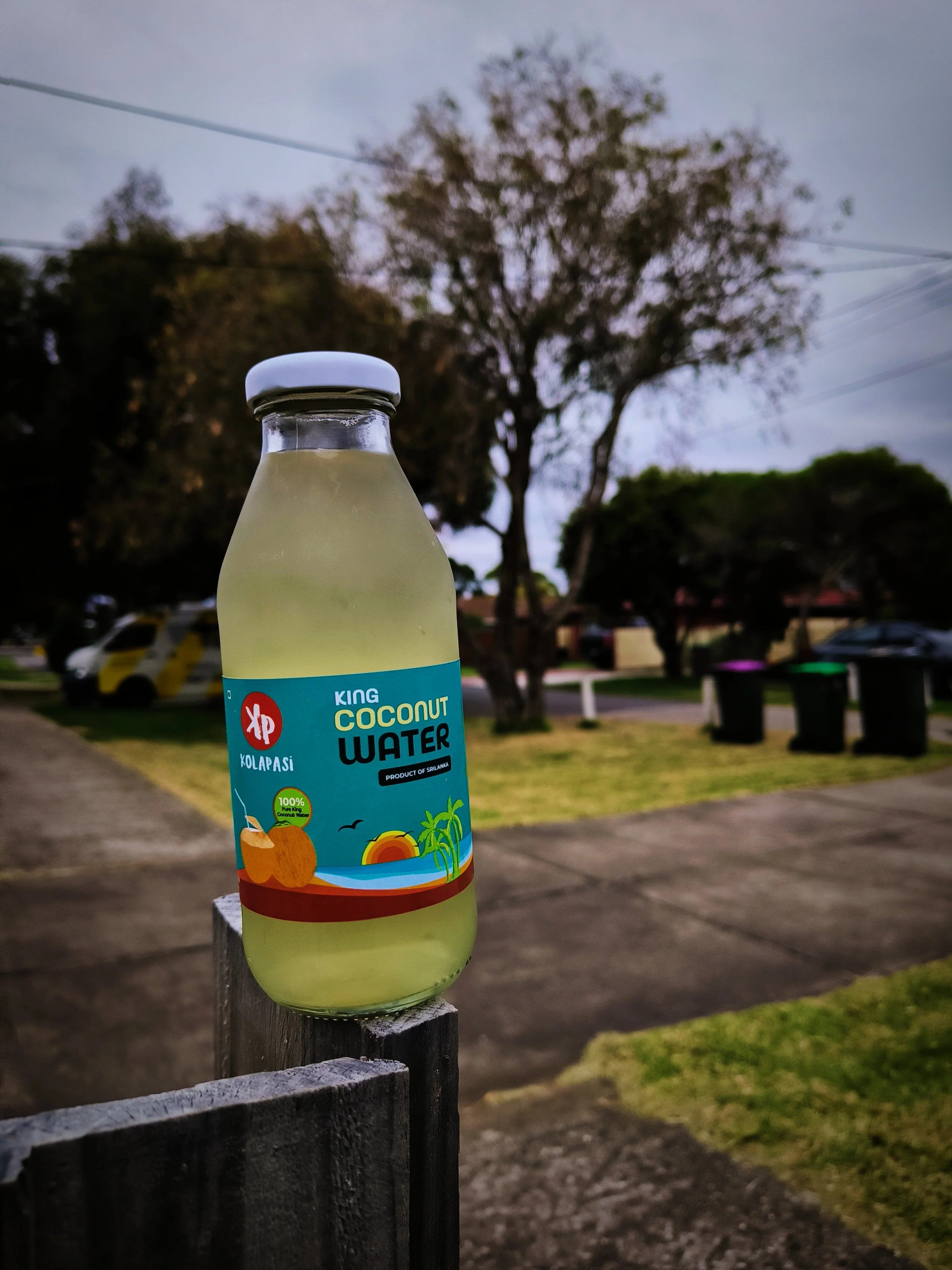 best-coconut-water-2024-kolapasi-brisbane